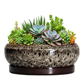 EPFamily maceta cerámica vista frontal, elegante protección para interiores