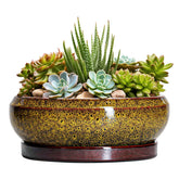 EPFamily maceta frontal amarilla elegante para decorar y proteger plantas