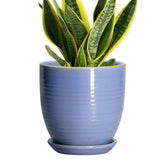 EPFamily maceta frontal azul-púrpura mostrando estilo y tamaño práctico