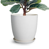 EPFamily maceta frontal blanca elegante, mejora la decoración