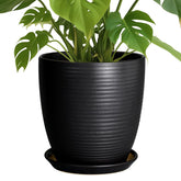 EPFamily maceta frontal negra, diseño elegante y funcional