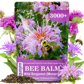EquSym empaque frontal del paquete de semillas bee balm mostrando cantidad