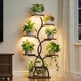 EVAWOO estantería frontal con luz mostrando orden y salud de plantas