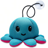 Exqusdy esponja pulpo frontal mostrando forma y beneficio de absorción