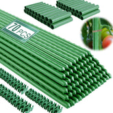Fabulas estacas frontal paquete mostrando cantidad y color verde, organización fácil