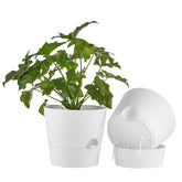 FaithLand maceta frontal pack de 2 blanca, aspecto moderno y ahorro de riego