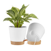 FaithLand vista frontal de maceta blanca y terracota, diseño elegante y práctico