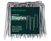 FEED GARDEN empaque frontal mostrando 100 grapas, ideal para proyectos grandes