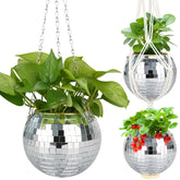 FGBNM maceta disco 6" frontal mostrando brillo y forma, añade estilo decorativo