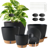 Fielda vista frontal maceta 8" clara y elegante, ideal para plantas grandes
