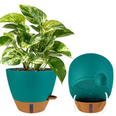 Fielda maceta frontal pack de 2 mostrando diseño y beneficio ahorro de riego