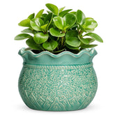 Fivepot maceta cerámica frontal mostrando acabado verde craquelado y elegancia