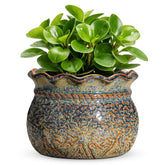 Fivepot maceta frontal marrón amarillento mostrando forma y acabado