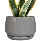 G EPGardening maceta cerámica frontal que muestra diseño moderno y estabilidad