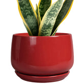 G EPGardening maceta frontal roja que aporta estilo moderno