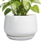 G EPGardening maceta frontal blanca elegante y resistente