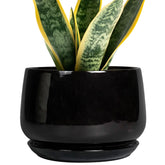 G EPGardening maceta frontal negra, resalta decoración con elegancia