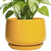 G EPGardening maceta frontal mostrando diseño moderno y color amarillo