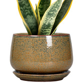 G EPGardening maceta frontal elegante y resistente