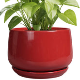 G EPGardening maceta frontal roja que realza la decoración