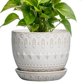 G EPGardening maceta frontal blanca que realza cualquier estante