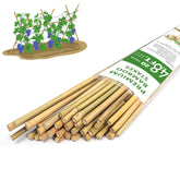 GAGINANG pack de estacas de bambú frente, soporte duradero para plantas