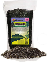 Gardenera empaque frontal mostrando mezcla ideal para Alocasia y facilidad de uso