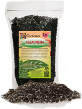 Gardenera paquete frontal 2 qt mostrando etiqueta y beneficio profesional