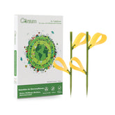 Garsum vista frontal del paquete de 42 trampas adhesivas, solución sin químicos