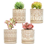Gepege maceta frontal conjunto mostrando diseño elegante y función
