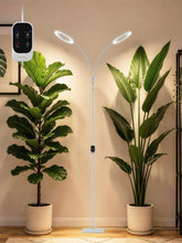 GLOWRIUM vista frontal con soporte estable y altura ajustable para cultivo interior