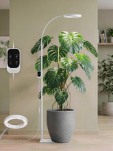 GLOWRIUM frontal con soporte estable y útil para plantas grandes