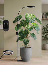 GLOWRIUM frente con soporte estable realzando plantas grandes