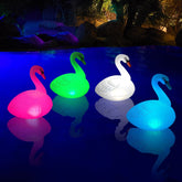 Goallim cisne frontal pack mostrando diseño elegante y luz ambiental