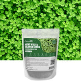 Groundio paquete frontal mostrando 1LB y beneficios de bajo mantenimiento