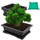GROWNEER vista frontal de la maceta rectangular robusta, ideal para entrenar bonsái