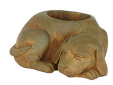 GROWSCAPE perro frente en escritorio decorativo con suculenta, aporta encanto