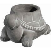 GROWSCAPE tortuga frontal mostrando diseño decorativo y estabilidad
