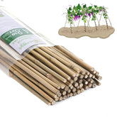 GUANGYE vista frontal de estacas de bambú, soporte resistente para plantas