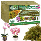 Halatool empaque frontal del musgo sphagnum verde mostrando el bloque compacto y beneficios de humedad