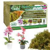 Halatool empaque frontal mostrando musgo natural y beneficio retenedor