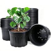 HECTOLIFE maceta frontal pack negro muestra diseño práctico