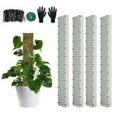 HOLANHING poste en D vista frontal, soporte firme para plantas trepadoras