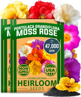 HOME GROWN paquete frontal con 47.000 semillas mostrando variedad de colores y valor económico