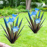 Homight agave frontal mostrando forma y color vibrante y duradera