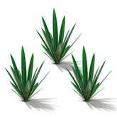 Homight agave metálica frontal mostrando su forma y durabilidad