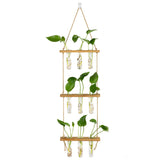 Hyindoor frontal del conjunto colgante mostrando diseño y beneficio decorativo