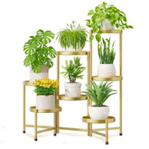 iDavosic.ly vista frontal del soporte dorado, instala plantas con estilo