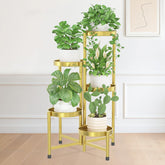 iDavosic.ly soporte frontal mostrando cinco niveles y aspecto elegante