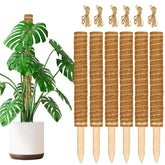JJGoo poste musgo frontal mostrando soporte firme para plantas